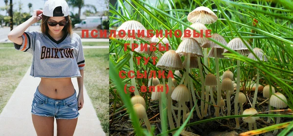 jwh Россошь