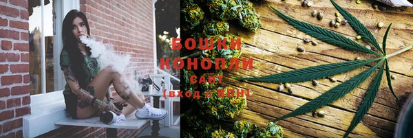прущая мука Рославль