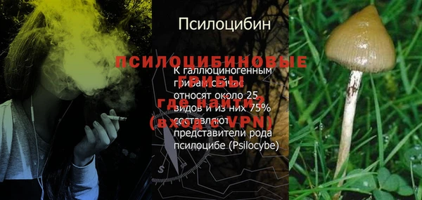 jwh Россошь